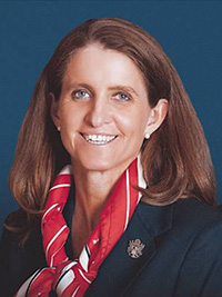 Deinacanthon urbanianum デイナカントン (検dyckia Deinacanthon urbanianum デイナカントン (検dyckia - メルカリ